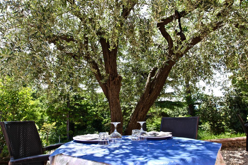 Agriturismo Biologico Villa Rosa Monte Guiduccio Exterior foto