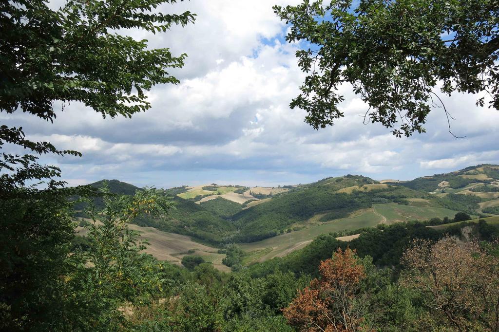 Agriturismo Biologico Villa Rosa Monte Guiduccio Exterior foto